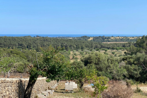 земельные участки на Cala Murada